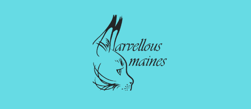 Marvellous Maines cat breeder logo black calligraphy on pale blue background. Maine coon head in profile