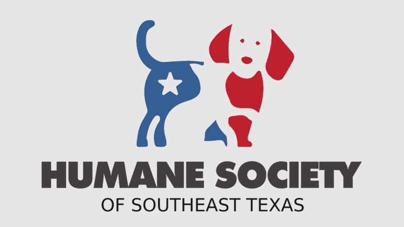 find a rescue - maine coon cats for sale in texas, humane society of southeast texas logo