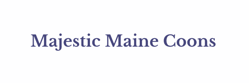 Majestic maine coons breeder logo. classic purple text white background