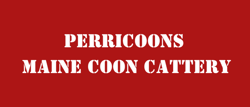 perricoons maine coon cattery logo white military style text with blood red background