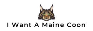 Logo - I Want A Maine Coon Kittens for Sale - Header