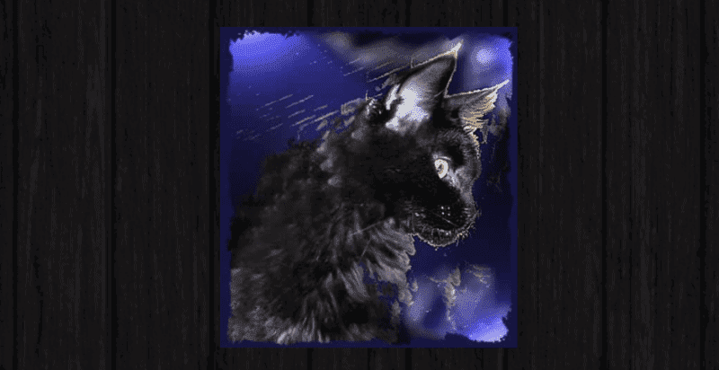 mylancoon maine coon cats breeder logo AI generated painting of a back maine coon cat