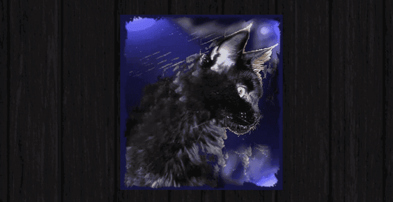 mylancoon maine coon cats breeder logo AI generated painting of a back maine coon cat