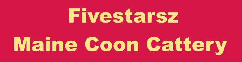 Fivestarsz Maine Coon breeders Logo