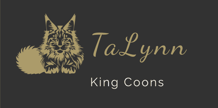talynn king coons breeder logo illustration of sitting maine coon with giant bushy tail