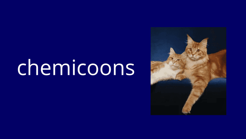 chemicoons cat breeder logo 2 ginger maine coons reclining in front of a dark blue background