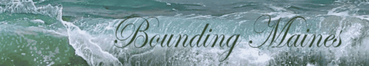 bounding maines maine coon breeder logo