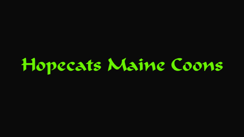 hopecats maine coons breeder logo fluro green handwritten text, black bacground