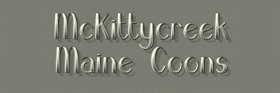 mckitty creek maine coons breeder logo silver text on grey background