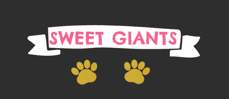 sweet giants maine coon breeder logo pink font and yellow paw prints