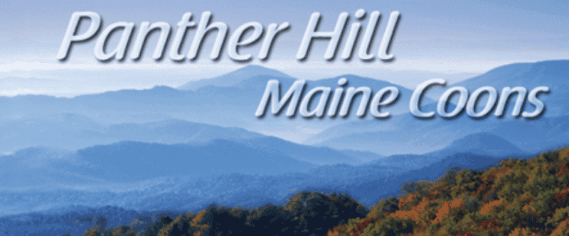 panther hill maine coons logo text over distant blue mountains
