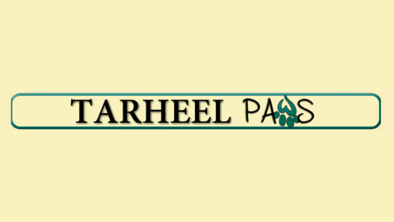 tarheel paws cat breeder logo green and black text in all caps cream background
