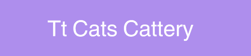 tt cats cattery maine coon breeder logo