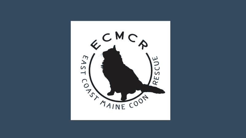 east coast maine coon rescue logo