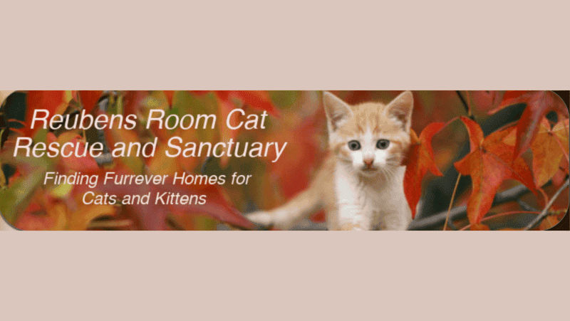 Reuben's room cat sanctuary logo