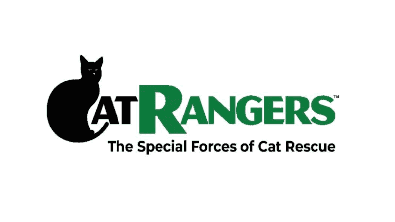 cat rangers logo