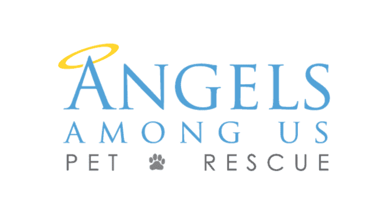 angels among us pet rescue logo