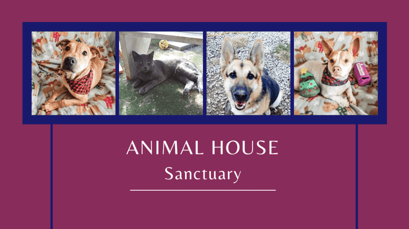 animal house sanctuary logo