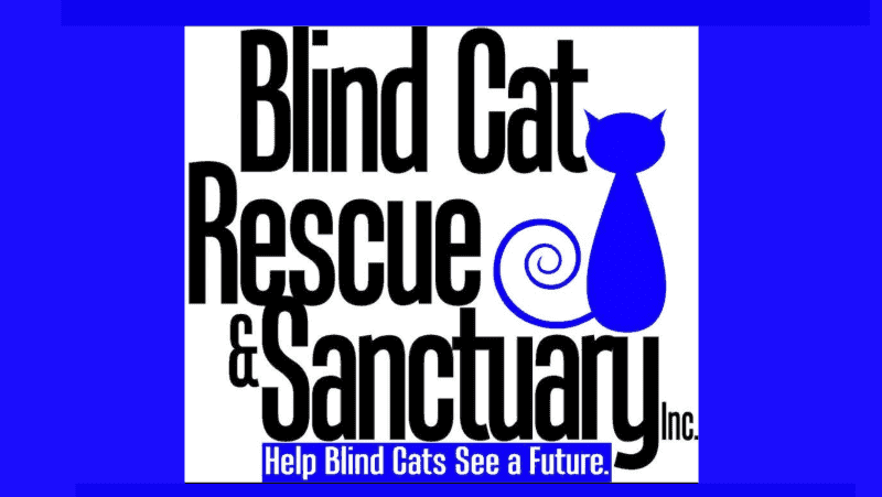 blind cats rescue sanctuary logo