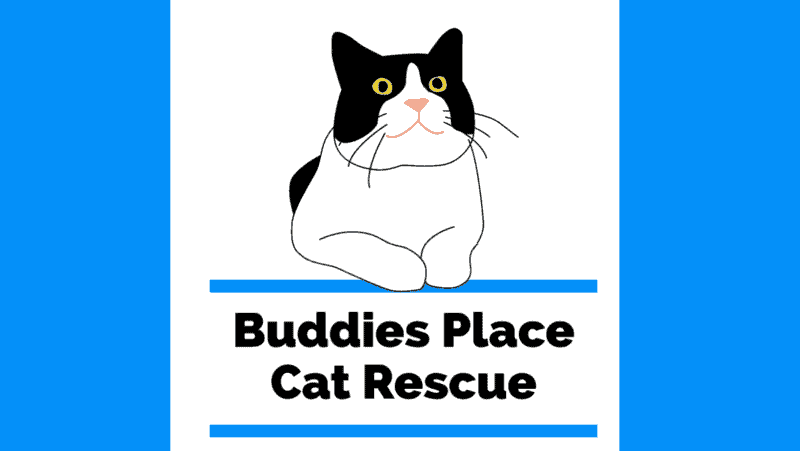 buddies place cat rescue logo