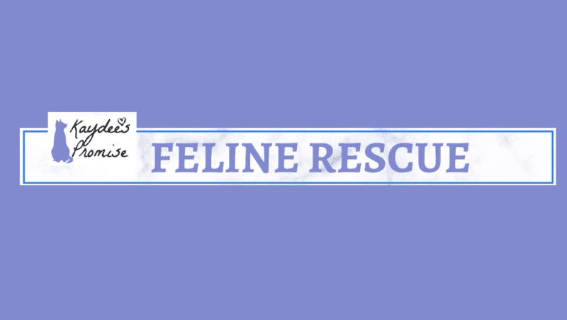 kaydee's promise feline rescue logo