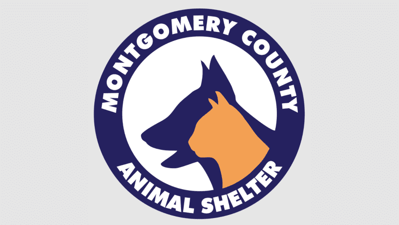 find a rescue - maine coon cats for sale in texas, montgomery county animal shelter logo