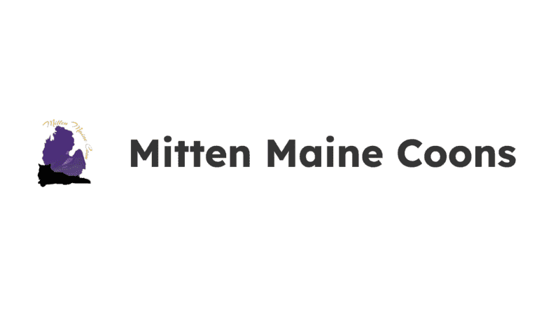 mitten maine coons breeder logo