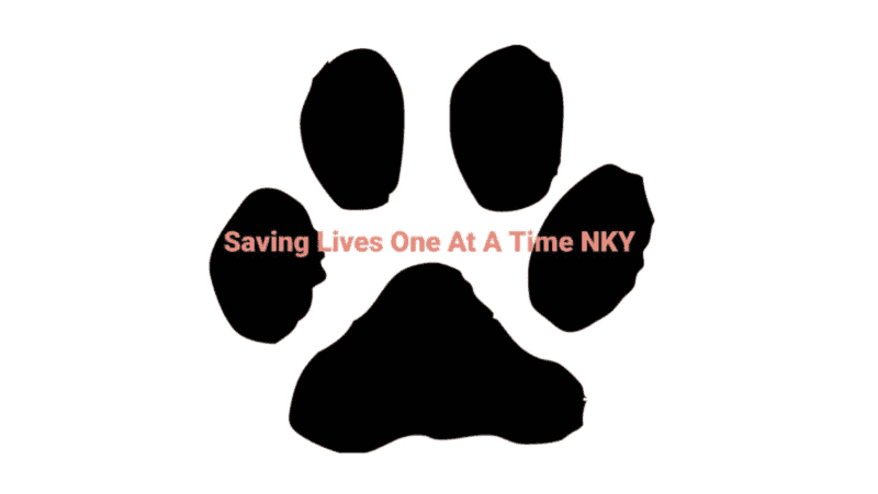 saving lives one at a time logo