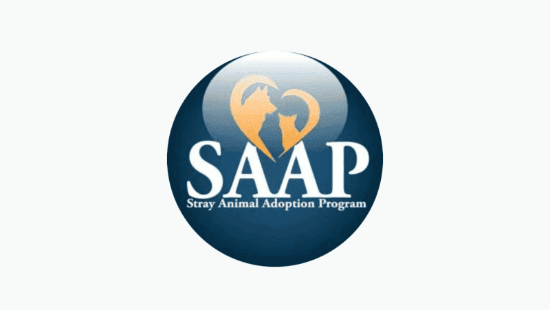 saap logo