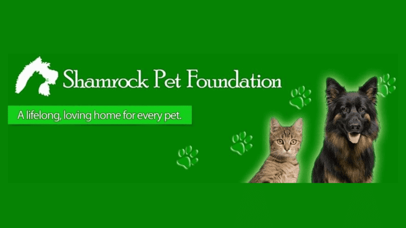 shamrock pet foundation logo