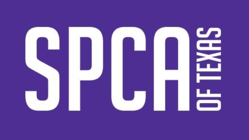 find a rescue - maine coon cats for sale in texas, spca of texas logo