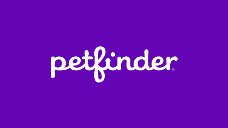 petfinder logo