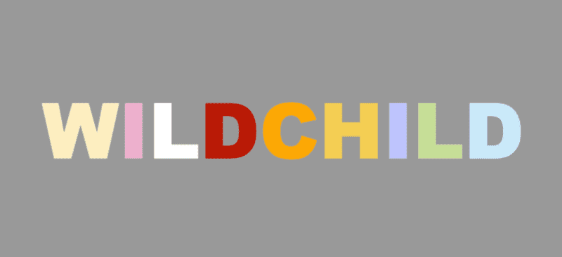 wildchild maine coon breeder logo multicolored lettering on grey background