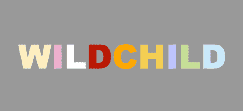 wildchild maine coon breeder logo multicolored lettering on grey background