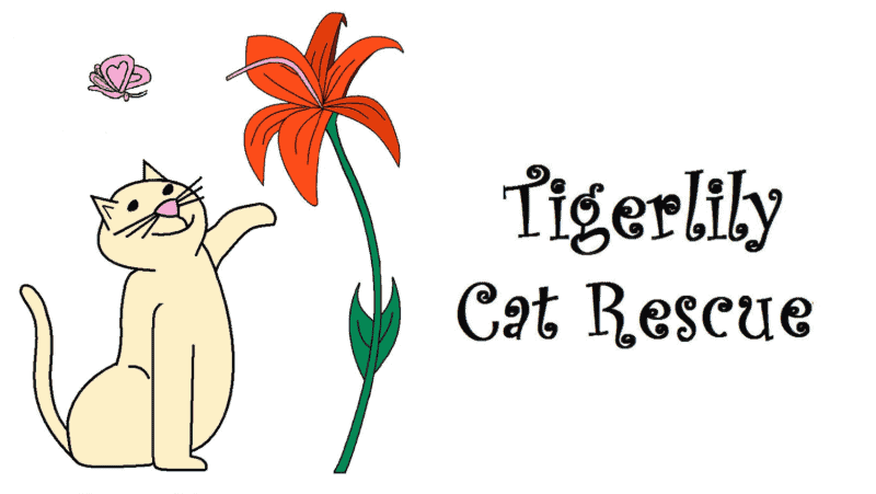 tigerlily cat rescue logo