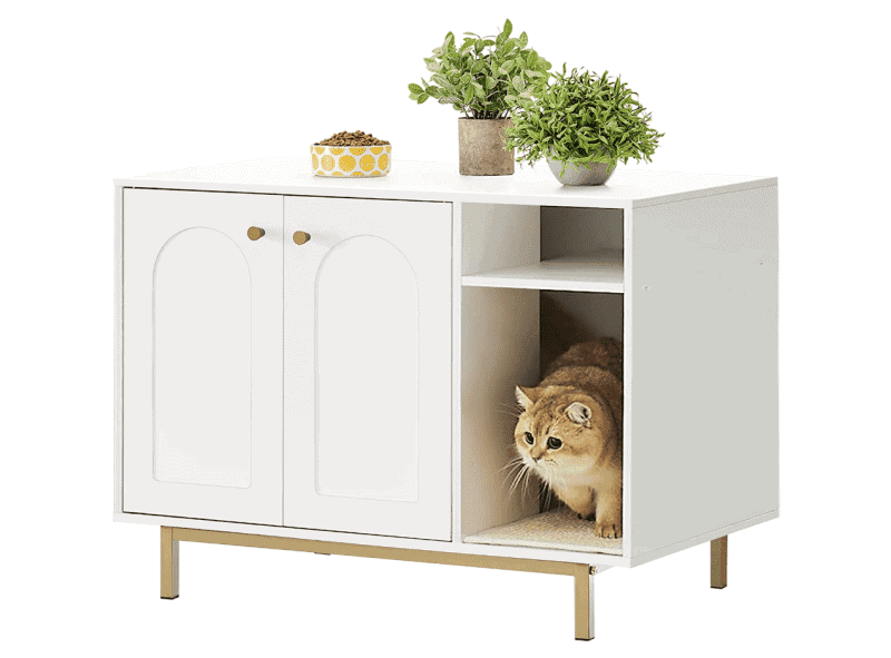 best litter boxes for maine coon cats, litter box furniture