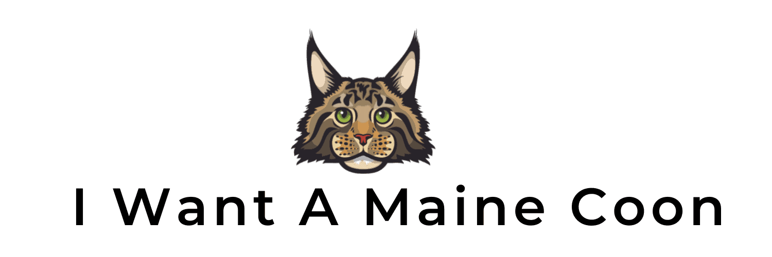 I want a maine coon logo